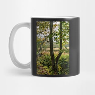 Autumn Tree Landscape Scene Mug